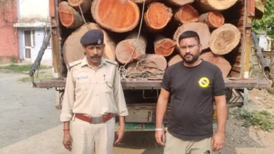 Photo of 42 Logs/ (गेलियां) लकड़ी किस्म तूनी व शीरष ब्रामद हुई* ।