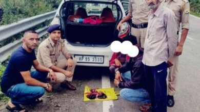 Photo of ठियोग पुलिस ने बरामद की करीब डेढ़ किलो अफीम 