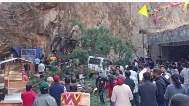 Photo of *मणिकर्ण में बड़ा हादसा, गुरुद्वारा के पास पेड़ गिरने से 6 लोगों की मौत हो गई*