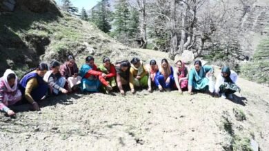 Photo of मुख्यमंत्री की घोषणा से पांगी घाटी के किसान-बागवान में खुशी की लहर
