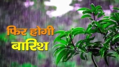 Photo of हिमाचल में आज से एक हफ्ता बारिश, चोटियों पर बर्फबारी के आसार
