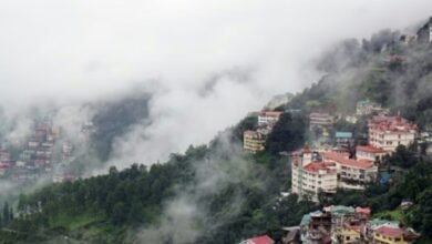 Photo of 01 से 05 जून तक शिमला ग्रीष्मोत्सव का आयोजन  पंजाबी, बॉलीवुड और हिमाचली व स्थानीय कलाकार देंगे अपनी प्रस्तुतियां