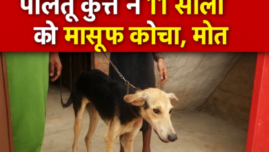 Photo of इटावा से दिल दहला देने वाली वारदात : पालतू कुत्ते ने 11 साल के मासूम को नोचकर उतारा मौत के घाट, मालिक गिरफ्तार