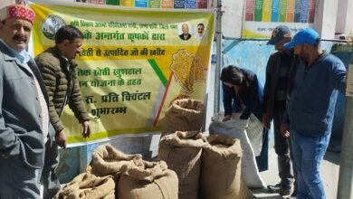 Photo of प्राकृतिक खेती खुशहाल किसान योजना के तहत पांगी में जौ की खरीद शुरू