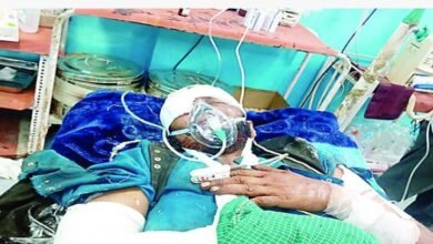 Photo of चम्बा जिले में रीछ ने हमला कर नोंचा ग्रामीण, लोगों में दहशत