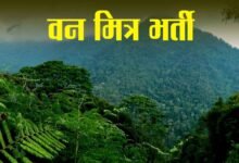 Photo of हिमाचल में वन मित्रों की नई भर्ती! वन विकास निगम में 100 पदों का प्रस्ताव सरकार को भेजा