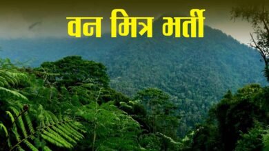 Photo of हिमाचल में वन मित्रों की नई भर्ती! वन विकास निगम में 100 पदों का प्रस्ताव सरकार को भेजा