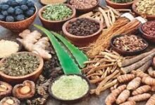 Photo of हिमाचल में तैयार औषधियों की विदेशों में बढ़ी मांग, गंभीर बीमारियों के इलाज में साबित हो रहीं कारगर