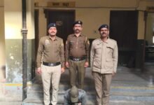 Photo of Dharampur में बस से 10.01 ग्राम चिट्टा बरामद, NDPS एक्ट के तहत आरोपी गिरफ्तार