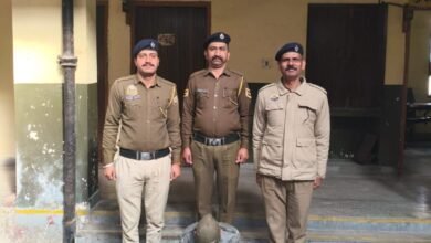 Photo of Dharampur में बस से 10.01 ग्राम चिट्टा बरामद, NDPS एक्ट के तहत आरोपी गिरफ्तार