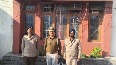 Photo of सनवारा टोल प्लाजा के पास 9 ग्राम चिट्टा के साथ दो युवक गिरफ्तार