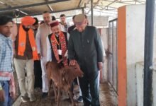 Photo of सड़कों की बदहाली और बेसहारा गौवंश से बढ़ीं दुर्घटनाएं, कांग्रेस सरकार जिम्मेदार : डॉ. राजीव बिन्दल