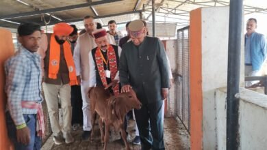 Photo of सड़कों की बदहाली और बेसहारा गौवंश से बढ़ीं दुर्घटनाएं, कांग्रेस सरकार जिम्मेदार : डॉ. राजीव बिन्दल