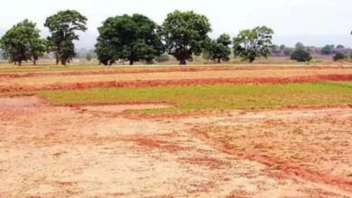 Photo of प्राइवेट हाउसिंग सोसाइटी के लिए लीज पर ले सकेंगे जमीन, सरकार ने जारी किया लीज रूल्स में संशोधन का ड्राफ्ट