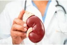 Photo of हिमाचल में तेजी से बढ़ रहे किडनी के मरीज, हर साल 25–30% इजाफा