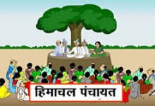 Photo of दो दिन में पंचायत चुनाव का रोस्टर, प्रशासन अलर्ट; आज साफ होगी नगर निकायों की तस्वीर