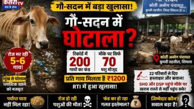Photo of कुपवी के गौ-सदन में बड़ा घोटाला उजागर! 200 की जगह 70 गायें, भूख से मौत के आरोप