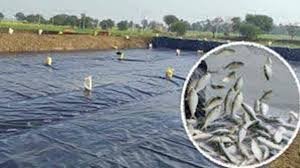 Photo of मछुआरों के हित में ऐतिहासिक निर्णय: रॉयल्टी 1% और MSP ₹100 प्रति किलो