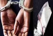 Photo of शिमला में ड्रग्स तस्करी पर बड़ा वार: 4 तस्कर गिरफ्तार, पंजाब का सप्लायर भी दबोचा