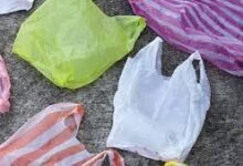 Photo of पोलिथीन पर सख्ती: 478 चालान, 5.67 लाख जुर्माना; ‘पोलिथीन मुक्त हिमाचल’ दावे पर उठे सवाल