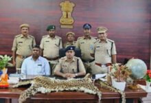 Photo of पांवटा साहिब में छत से जंगली जानवरों की खाल बरामद, अवैध शिकार व तस्करी की आशंका से सनसनी