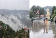 Photo of हिमाचल में ओलावृष्टि से सेब की फसल को नुक्सान, एंटी-हेलनेट भी फटे; 10 जिलों में अंधड़ का अलर्ट