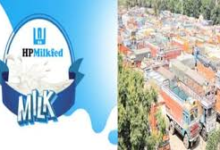 Photo of हिमाचल में फिर बढ़ी आम आदमी की टेंशन! मिल्कफेड के बाद ट्रांसपोर्टरों ने लिया बड़ा फैसला, जानें पूरी खबर