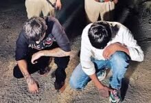 Photo of 40 घंटे में सुलझाई शिमला गोलीकांड की गुत्थी, पुलिस ने हरियाणा से दबोचे दोनों शूटर