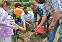 Photo of “‘एक पेड़ माँ के नाम’ अभियान से पर्यावरण संरक्षण और मातृ सम्मान का संदेश : भाजपा अल्पसंख्यक मोर्चा”