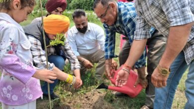 Photo of “‘एक पेड़ माँ के नाम’ अभियान से पर्यावरण संरक्षण और मातृ सम्मान का संदेश : भाजपा अल्पसंख्यक मोर्चा”