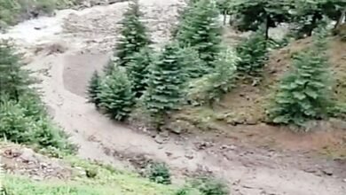 Photo of 36 सडक़ें, 43 पेयजल योजनाएं बंद, प्रदेश में बारिश से थमे गाडिय़ों के पहिए, जगह-जगह पहाड़ दरकने से बढ़ी दिक्कतें