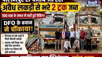 Photo of पालमपुर से पंजाब जा रहे अवैध लकड़ी से लदे 2 ट्रक इंदौरा में जब्त, 100 KM तक नहीं हुई चेकिंग, 