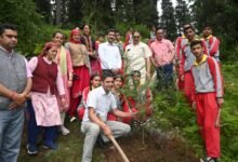 Photo of नारकण्डा में सेशन न्यायाधीश रामपुर ने किया पौधरोपण, पर्यावरण संरक्षण का दिया संदेश