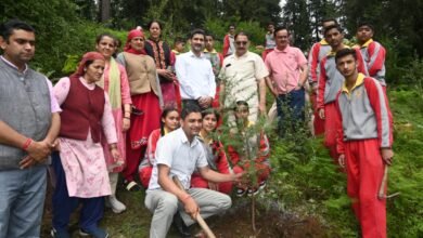 Photo of नारकण्डा में सेशन न्यायाधीश रामपुर ने किया पौधरोपण, पर्यावरण संरक्षण का दिया संदेश