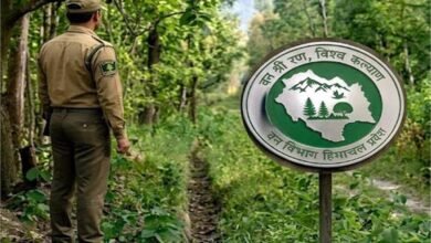 Photo of हिमाचल के युवाओं के लिए खुशखबरी! वन विभाग में 500 सहायक वन रक्षकों की होगी भर्ती