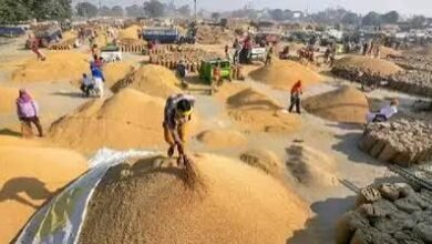Photo of किसानों के लिए बड़ी खबर: धान खरीद के लिए 15 सितंबर के बाद खुलेगा पोर्टल, ऑनलाइन होगा पंजीकरण