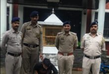 Photo of कसौली में 11.80 ग्राम चिट्टे के साथ युवक गिरफ्तार, पुलिस ने मौके पर दबोचा
