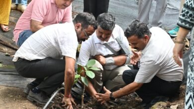 Photo of वन महोत्सव के साथ नेरी महाविद्यालय ने मनाया स्थापना दिवस