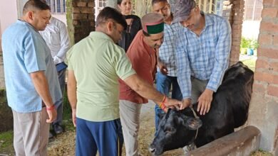 Photo of पशुपालक के घर डॉक्टरों को लेकर पहुंचे केवल सिंह पठानिया
