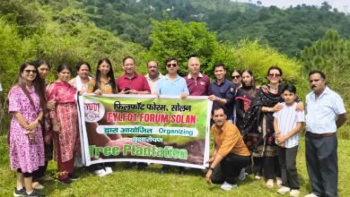 Photo of फिलफॉट फोरम सोलन ने किया पौधारोपण, 80 पौधे रोपे