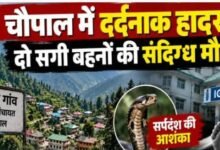 Photo of शिमला के नेरवा में सर्पदंश से दो सगी बहनों की मौत, 11 और 8 साल थी उम्र, कमरे में बेसुध मिलीं दोनों