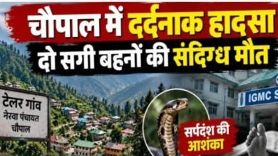 Photo of शिमला के नेरवा में सर्पदंश से दो सगी बहनों की मौत, 11 और 8 साल थी उम्र, कमरे में बेसुध मिलीं दोनों