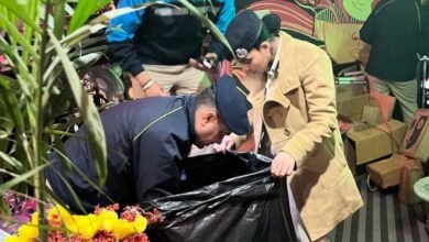 Photo of हिमाचल के इस मशहूर पर्यटन स्थल पर तड़के 3 बजे पुलिस की दबिश, होटल के कूड़ेदान से निकला नशीले पदार्थों से भरा पर्स; 15 लोगों का मेडिकल, दो संचालकों पर केस