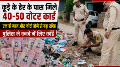 Photo of सोलन में कूड़े के ढेर के पास मिले 40-50 वोटर कार्ड, एक ही नाम और फोटो होने से बढ़ा संदेह; पुलिस ने कब्जे में लिए कार्ड