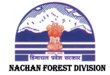 Photo of वन्य प्राणियों का शिकार किया तो होगी 7 साल की कैद, वन विभाग ने जारी किया अलर्ट