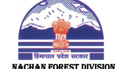 Photo of वन्य प्राणियों का शिकार किया तो होगी 7 साल की कैद, वन विभाग ने जारी किया अलर्ट
