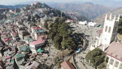 Photo of रोजगार में देश की राज्य राजधानियों में शिमला अव्वल, श्रम बल सहभागिता दर 70% दर्ज